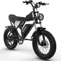 Ridstar Electric Bike for Adults 1500w 33mph,48v 20ah Electrics Bicycle,20″ Fat Tire,7-Speed Mountain Bikes Ul2849